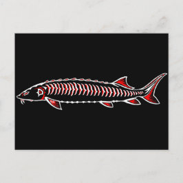 Postal Nativo nuevo: cirujano blanco