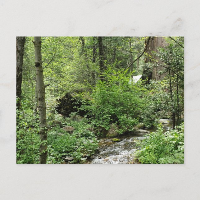 Postal natural (Anverso)