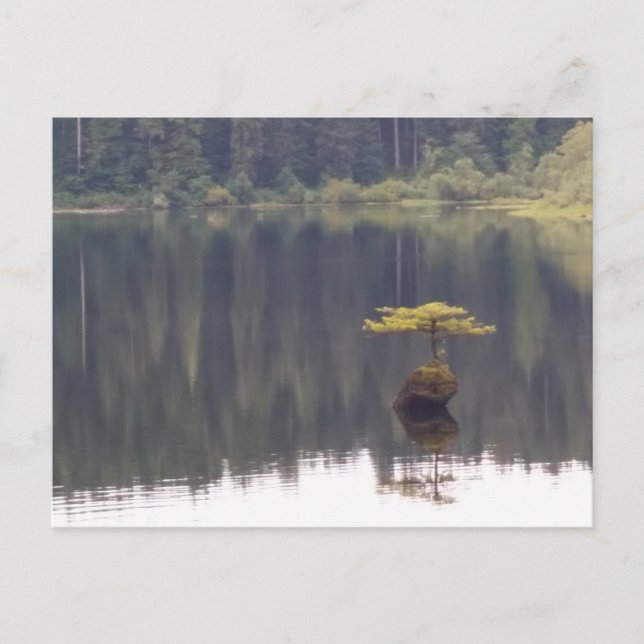 Postal natural (Anverso)