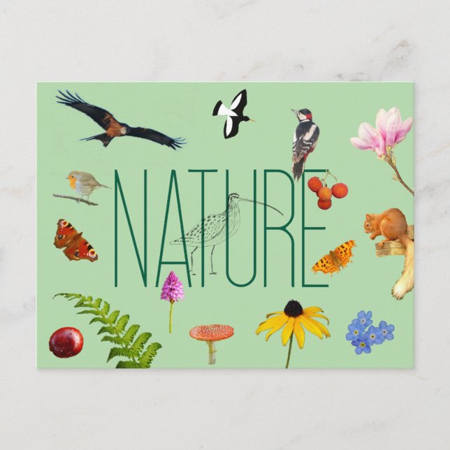 Postal natural (Anverso)