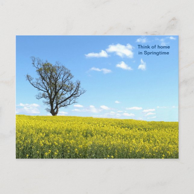 Postal natural (Anverso)