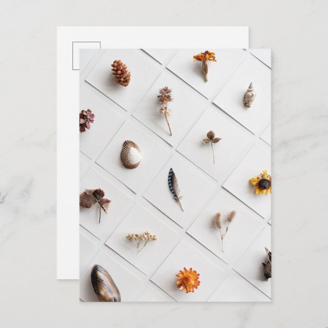 Postal Natural Specimen Collection Minimalist (Anverso / Reverso)