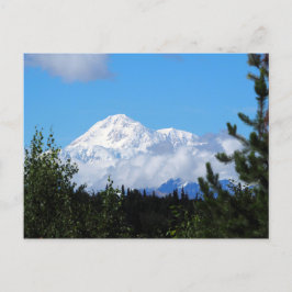 Postal Naturaleza Alaska Denali Foto