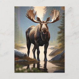Postal *~* Naturaleza AP49 MOOSE Bosque STREAM Woods