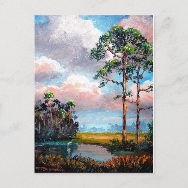 Postal Naturaleza de Florida (Anverso)