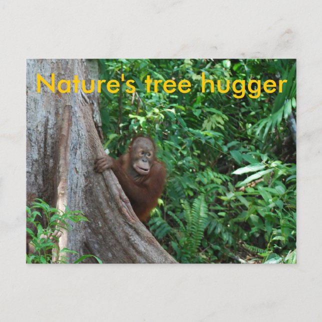 Postal Naturaleza de Hugger Borneo (Anverso)