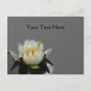 Postal Naturaleza de la flor de Lily Lotus Water Lily