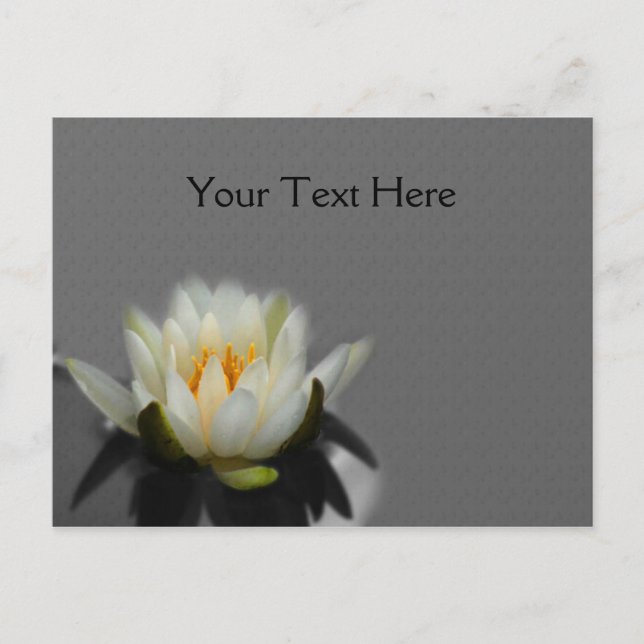 Postal Naturaleza de la flor de Lily Lotus Water Lily (Anverso)