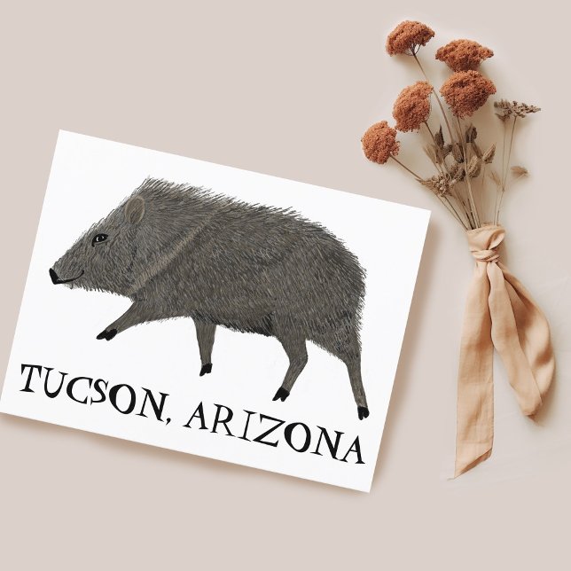 Postal Naturaleza de la lechuga salvaje del desierto de J (Javelina TUCSON Desert Wild Animal Peccary Nature Postcard Customize it)