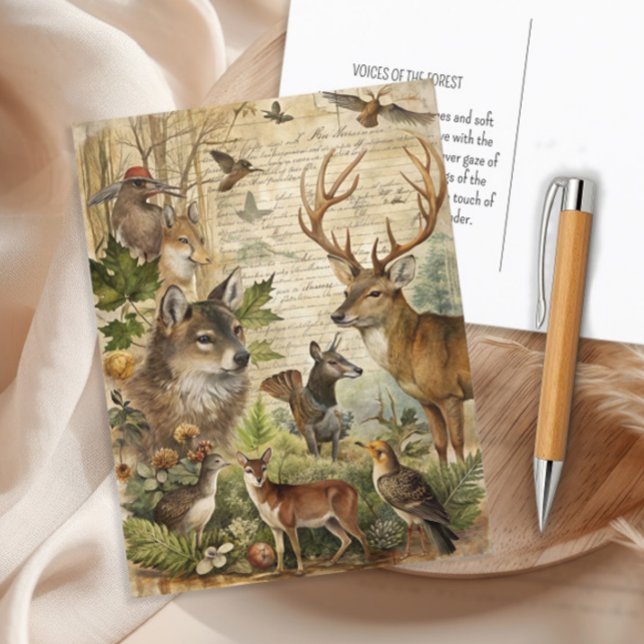 Postal Naturaleza de los ciervos lobo de los animales de  (Vintage woodland animals postcard)