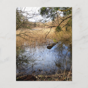 Postal Naturaleza de los fondos marinos