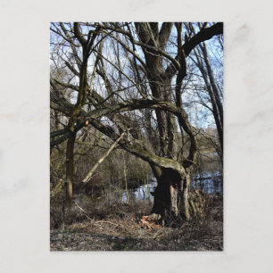 Postal Naturaleza de los fondos marinos