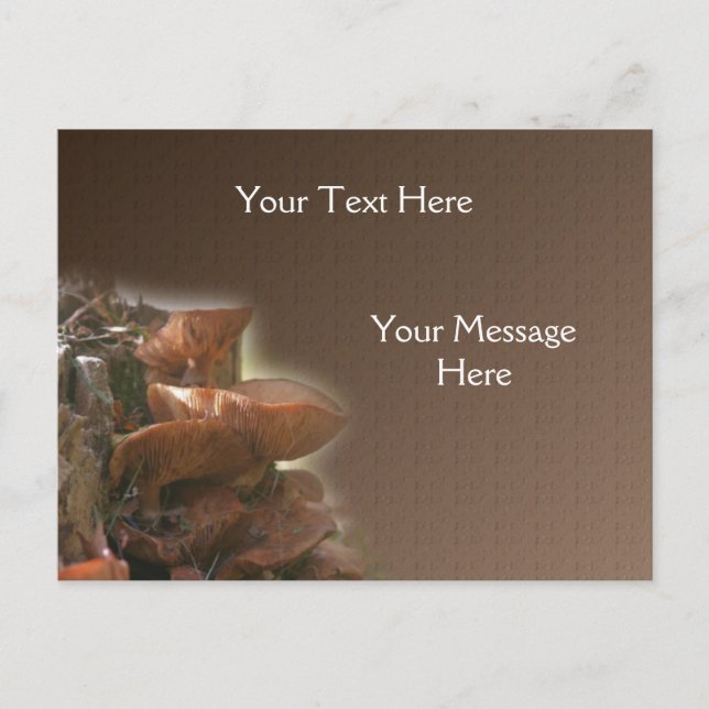 Postal Naturaleza de los hongos silvestres apilados (Anverso)