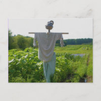 Naturaleza de los jardines del campo