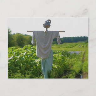 Postal Naturaleza de los jardines del campo