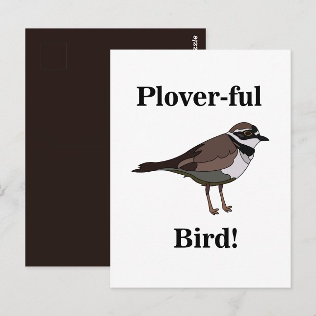 Postal Naturaleza divertida de Plover Bird (Anverso / Reverso)