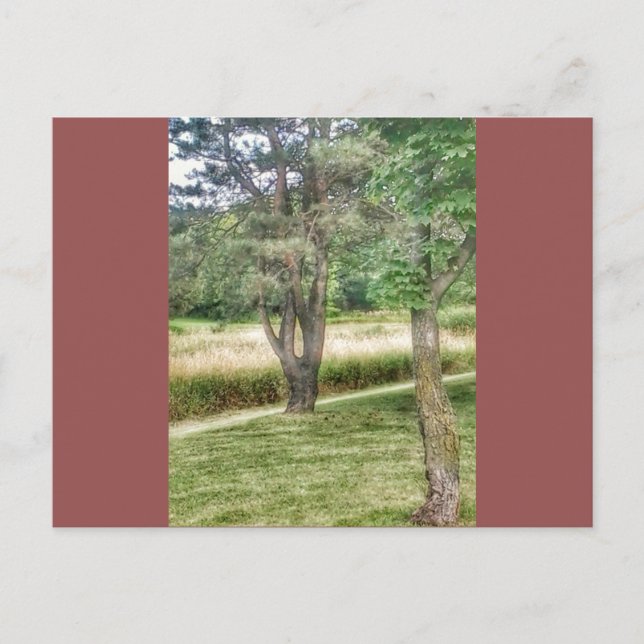 Postal Naturaleza En Belleza 2 (Anverso)