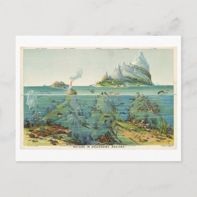 Postal "Naturaleza en las regiones en declive" Ilustracio (Anverso)