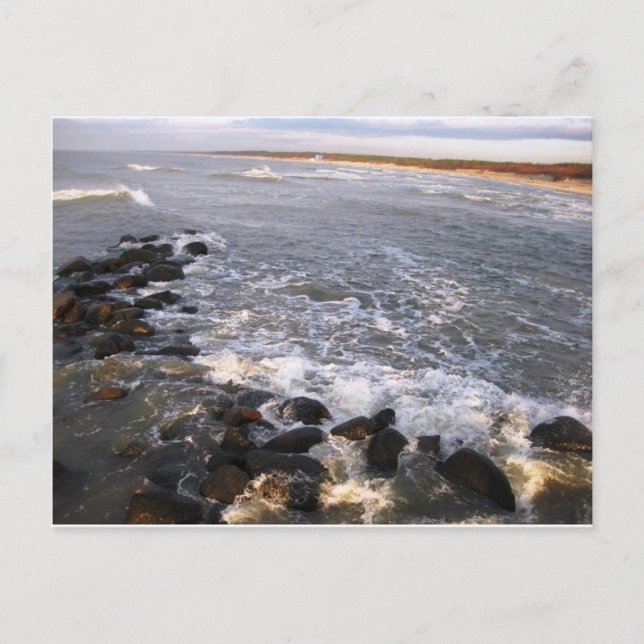 Postal "Naturaleza". Lituania, Palanga" (Anverso)