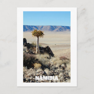 Postal Naturaleza natural del desierto de Namibia Tirool