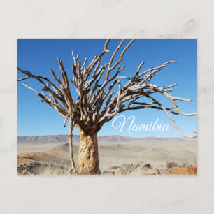 Postal Naturaleza natural del desierto de Namibia Tirool