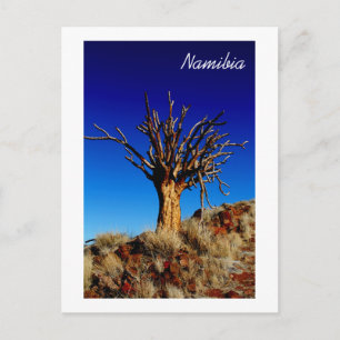 Postal Naturaleza natural del desierto de Namibia Tirool