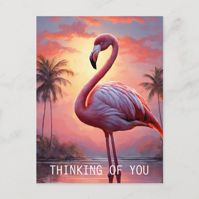 Postal Naturaleza Sunset Pink Flamingo Vintage (Anverso)