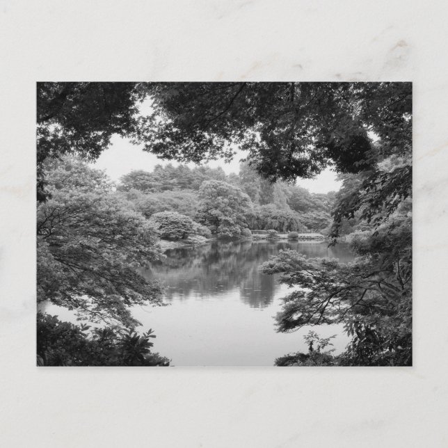 Postal Naturaleza y lago blancos y negros, frescos, (Anverso)