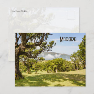 Postal Naturaleza y paisaje del bosque de Fanal, Madeira