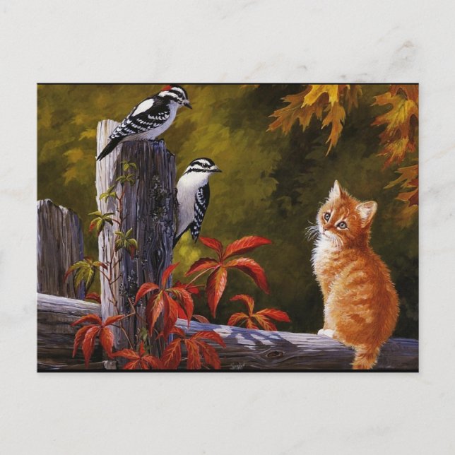 Postal Naturas Animales (Anverso)