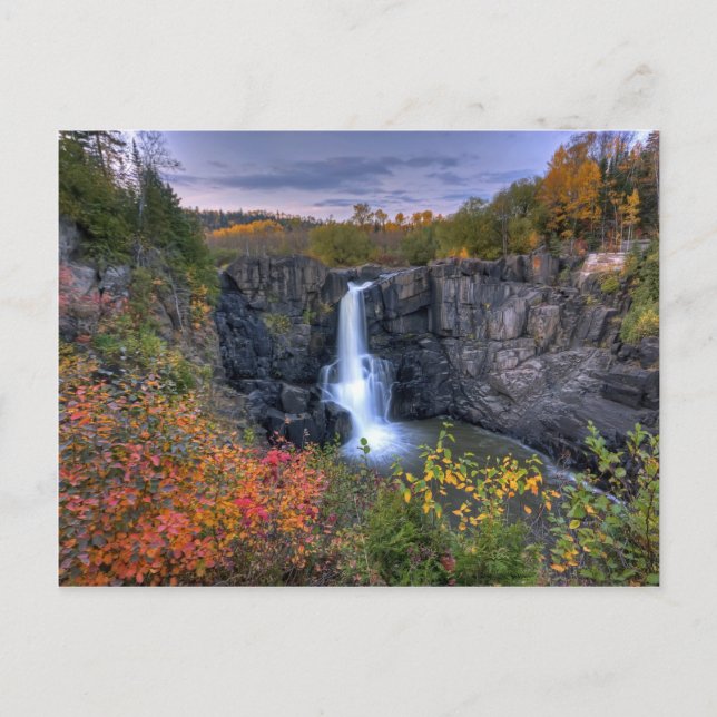 Postal Naturas Magia (Anverso)