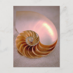 Postal Nautilus