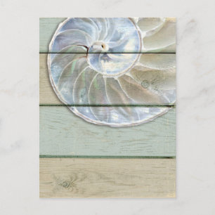 Postal Nautilus Shell