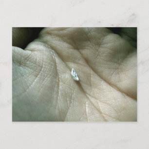 Postal Navegando a lo largo de la línea de vida