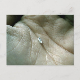 Postal Navegando a lo largo de la línea de vida