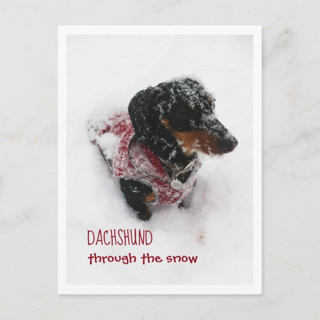 Postal navidad - Dachshund A Través De La Nieve (Anverso)