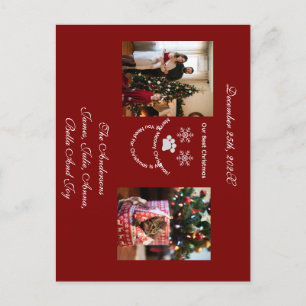 Postal Navidad, imagen de gato y familia,