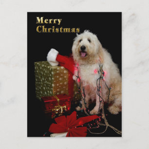 Postal - navidad que saluda - perrito