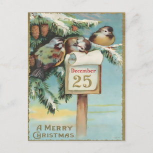 Postal Navidad Vintage 25 de diciembre pájaros y pino