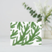 Navidades abren ramas de árboles