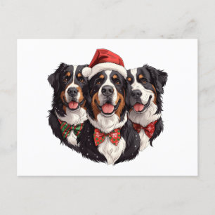 Postal Navidades Bernese Mountain Dogs