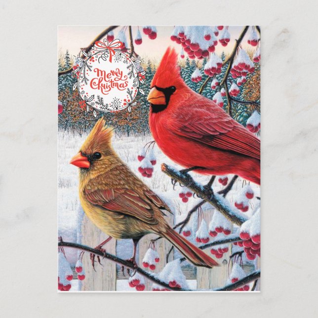 Postal Navidades Cardinals (Anverso)