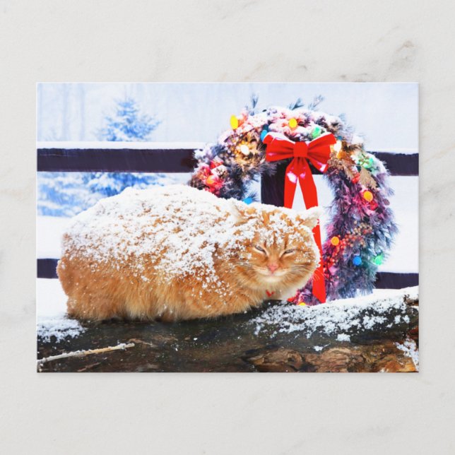 Postal "Navidades Cheeto" (Anverso)