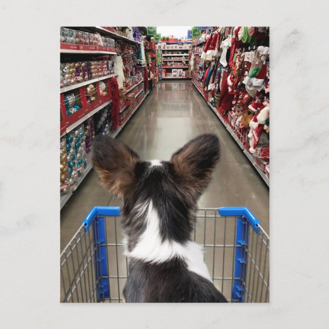Postal Navidades comprando Chihuahua (Anverso)