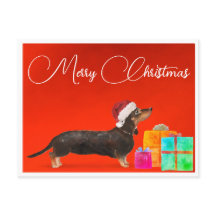Navidades Dachshund Perro Feliz Navidad