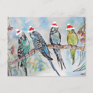 Postal Navidades de Budgies, pájaro de pintura Budgies