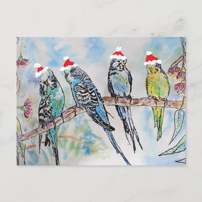Postal Navidades de Budgies, pájaro de pintura Budgies (Anverso)
