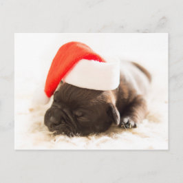 Postal Navidades de Cachorro de Bulldog con sueño