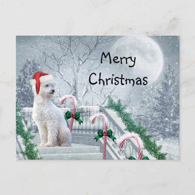 Postal Navidades de cangrejo blanco (Anverso)