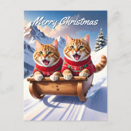 Postal Navidades de Cats Sled Ride
